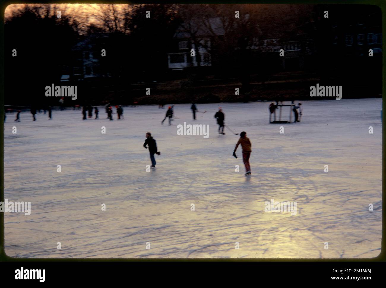 Suburban ice skating at sunset (Newtonville) , Lakes & ponds, Skaters