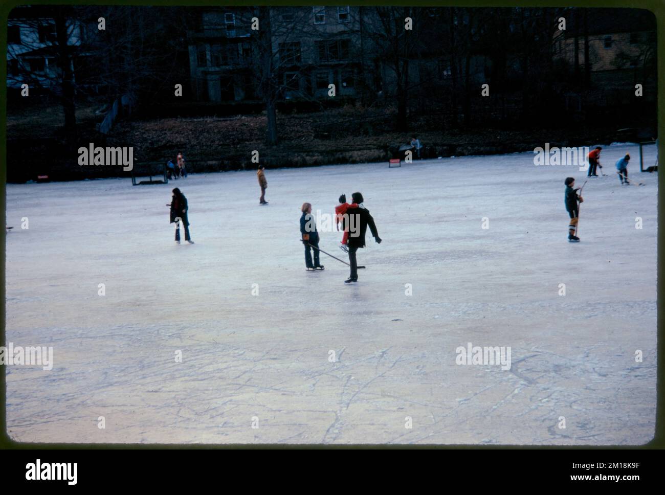 Suburban ice skating at sunset (Newtonville) , Lakes & ponds, Skaters