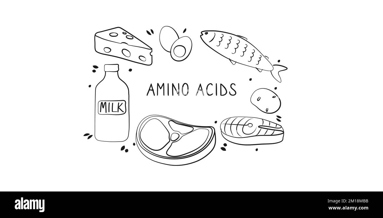 Amino acids-containing food. Groups of healthy products containing vitamins and minerals. Set of fruits, vegetables, meats, fish and dairy. Stock Vector