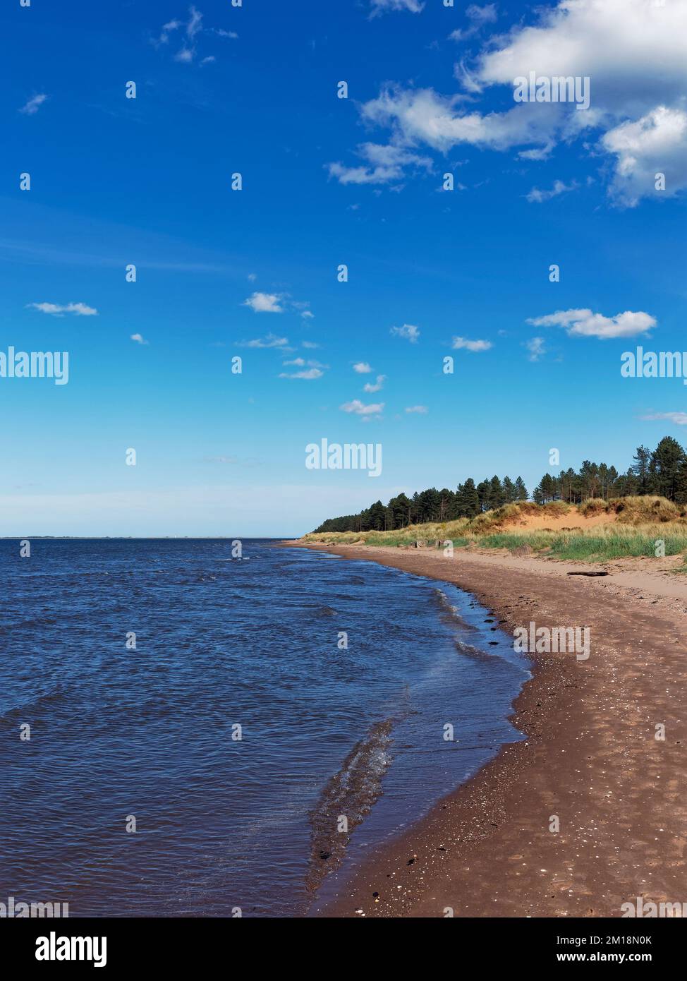 A small curving Beach with the Tide beginning to go out at Tentsmuir National Nature Reserve, with Dunes and Forest behind the foreshore. Stock Photo