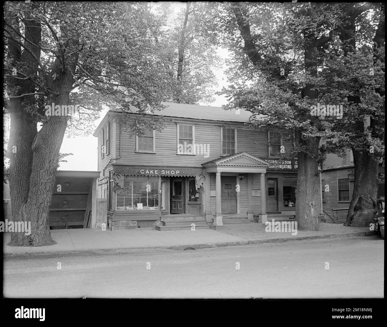 'Suffolk Resolves' House, 38 Adams Street, Milton , Houses, Elms