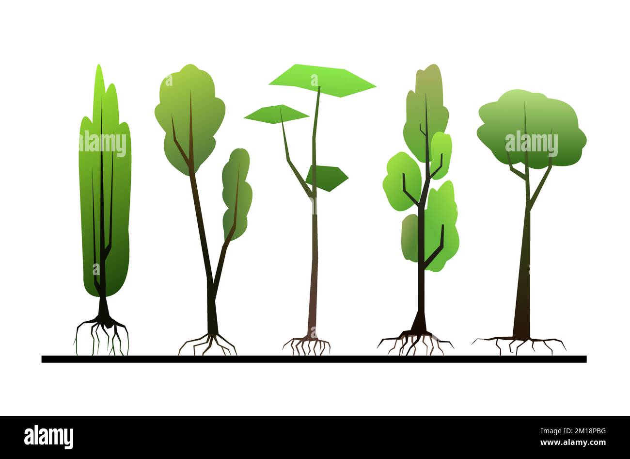 Tree Seedling Vector Seedlings of young trees with roots. Garden plants. Fruit plantings ...