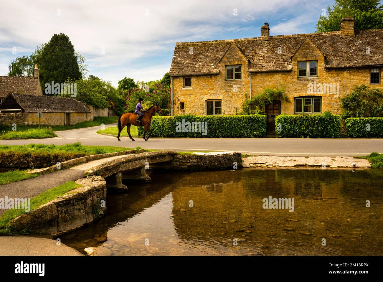 Wet land slothre hires stock photography and images Alamy