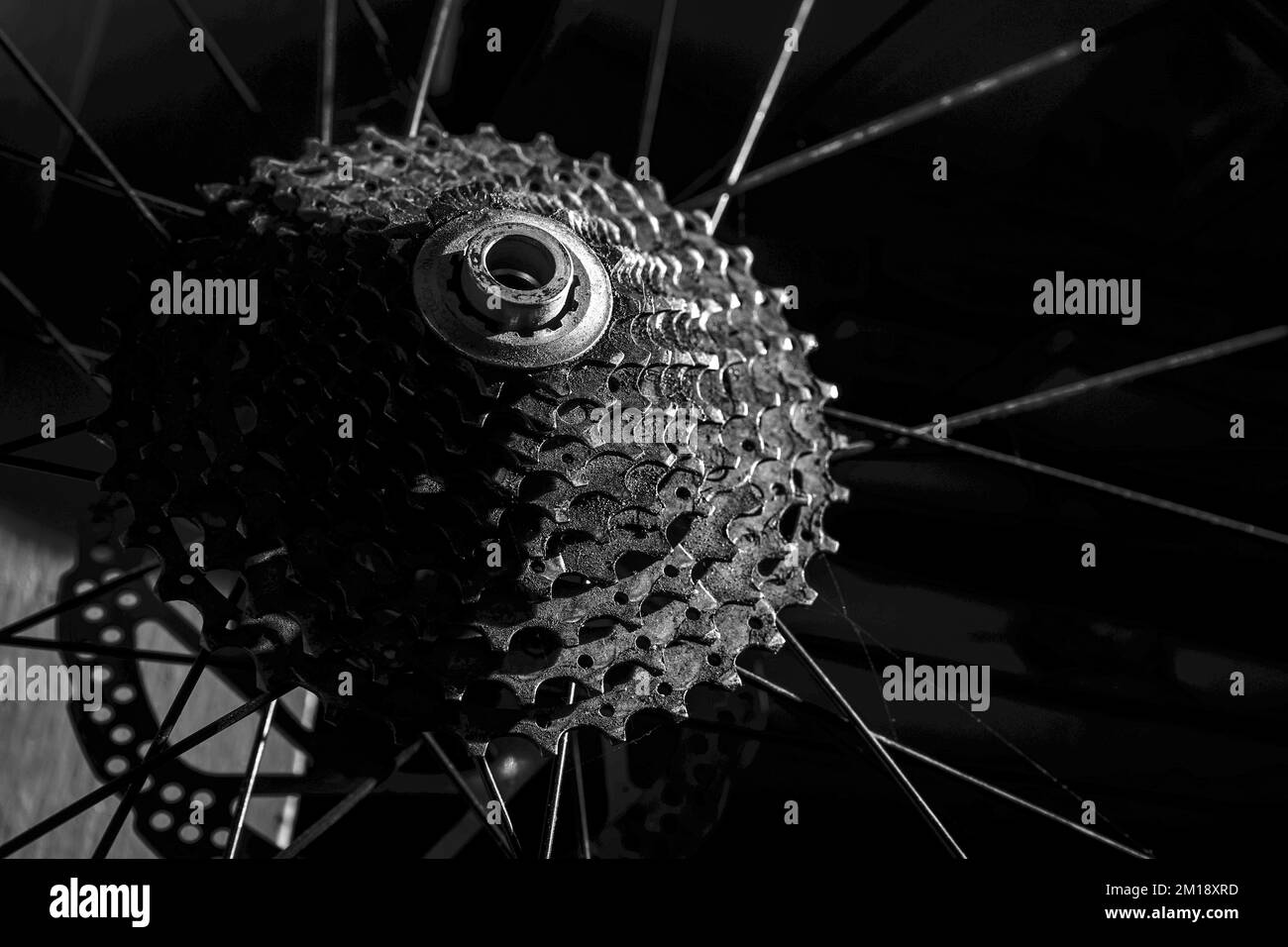 Low light photo of rear mountain bike cassette on the wheel on blur