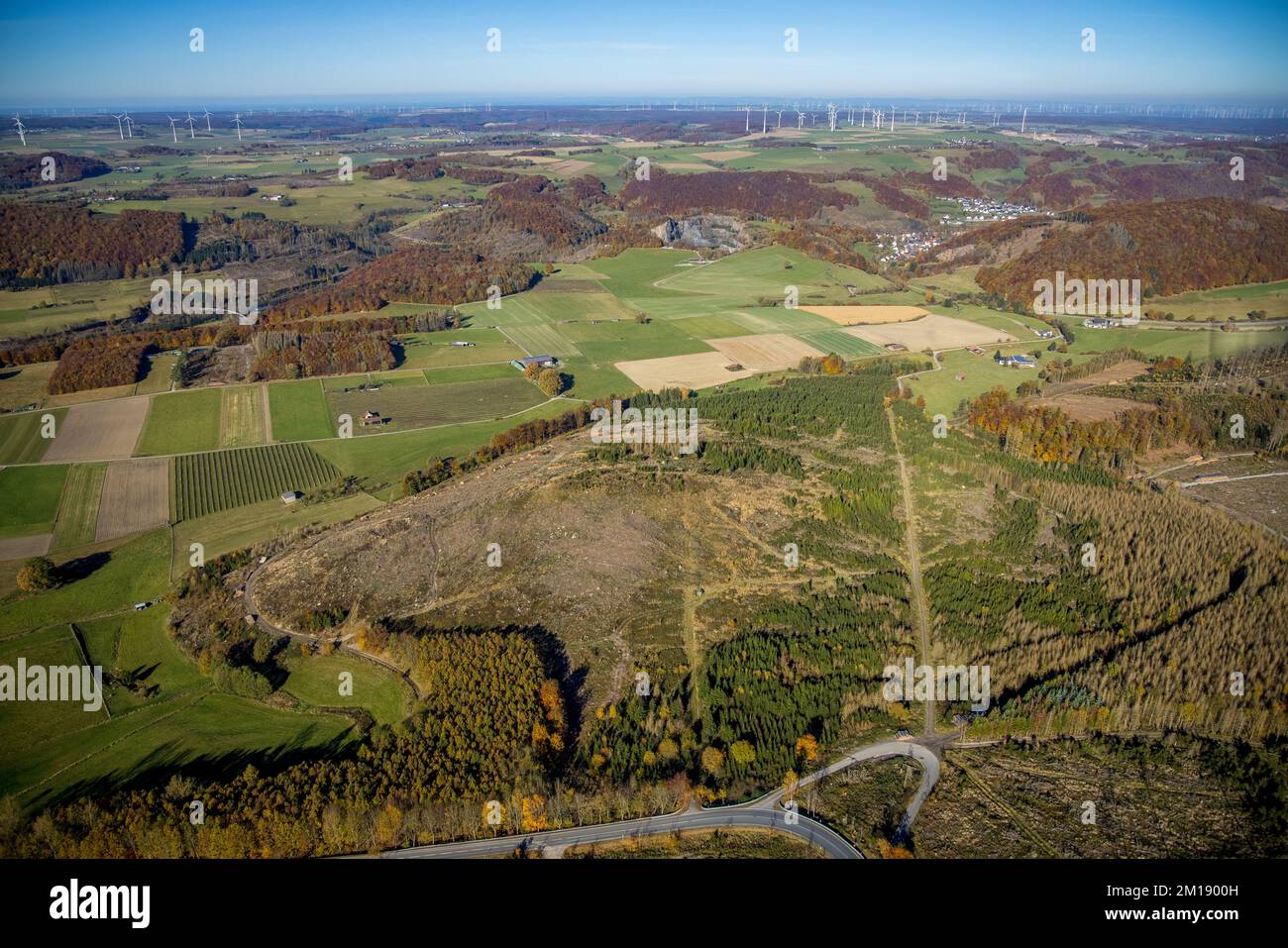 Aerial view, forest area with forest damage and wind farm in background ...