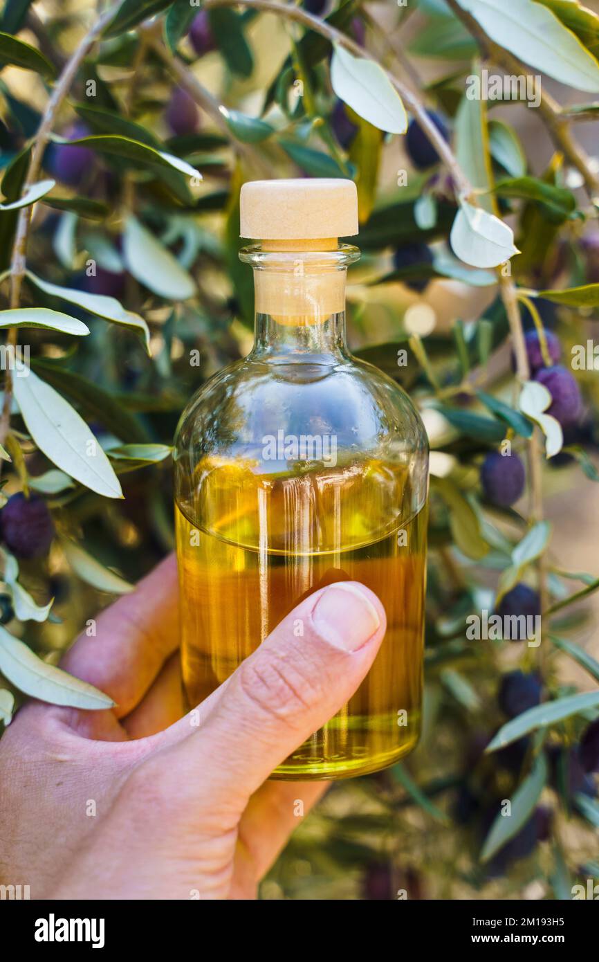 Olive oil with olive tree branch background. Natural oil for food or cosmetics from natural ingredients. Healthy food, cosmetics concept. High quality photo Stock Photo