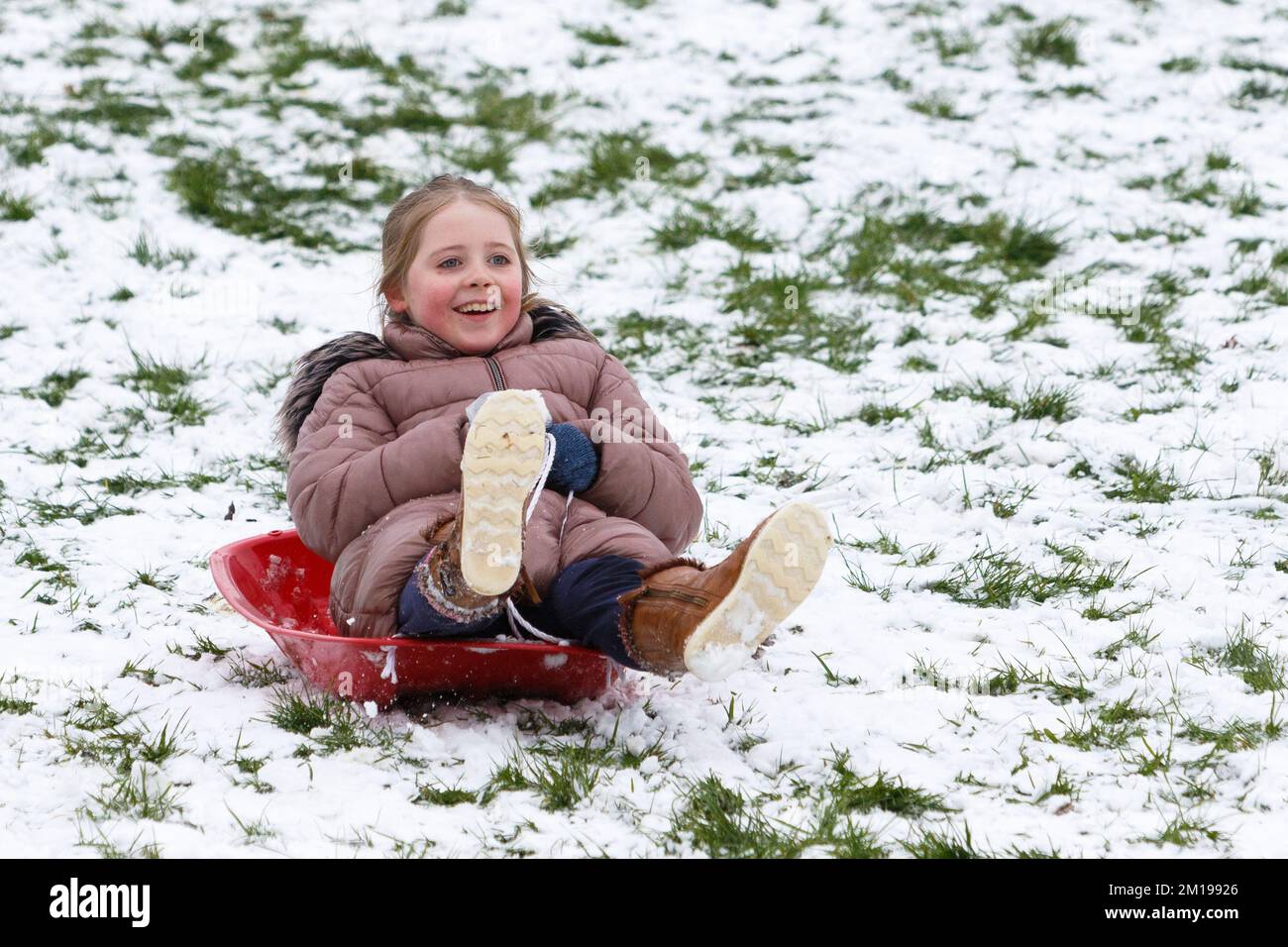 Chippenham, Wiltshire, UK, 11th Dec, 2022. As Chippenham residents wake up to their first snow of the year, a young girl is pictured in a local park in Chippenham as she slides down a hill on a sledge. Credit: Lynchpics/Alamy Live News Stock Photo