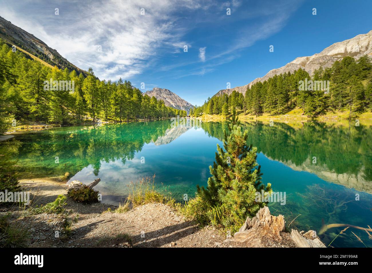 Alpine Lake Palpuogna at Albula Pass in Graubunden alps, Grisons, Switzerland Stock Photo