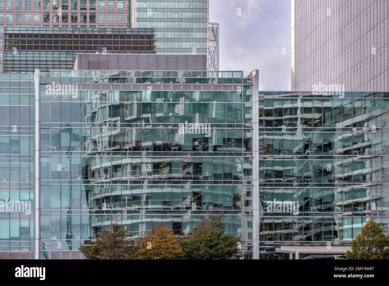 Detail of high-rise buildings with reflections in the windows and trees with fall colours. Canary Wharf, East London, England, UK. Stock Photo
