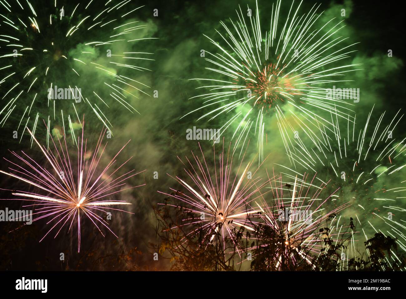 fireworks explosive on dark sky in night Stock Photo