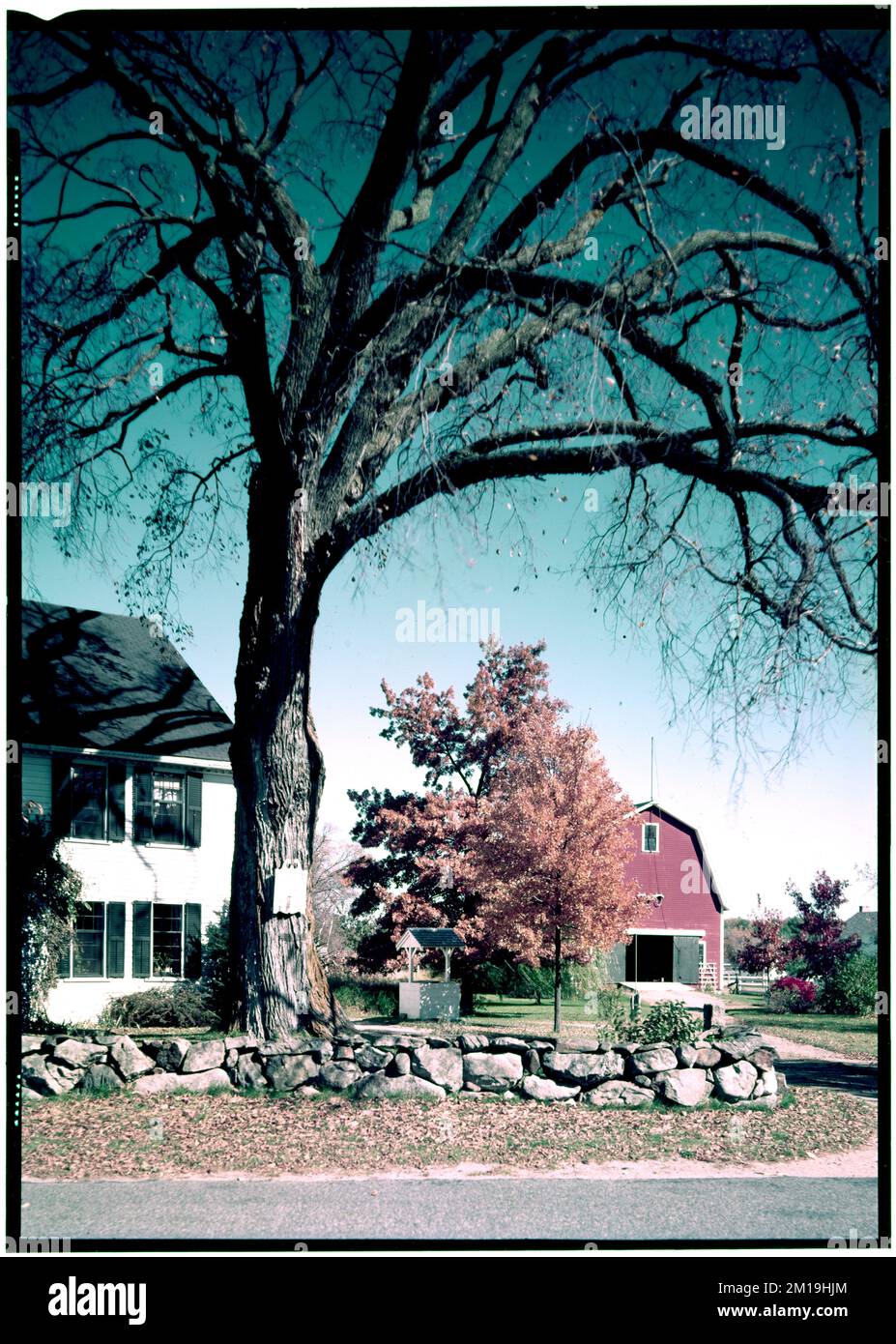 Topsfield Cut Out Stock Images & Pictures Alamy