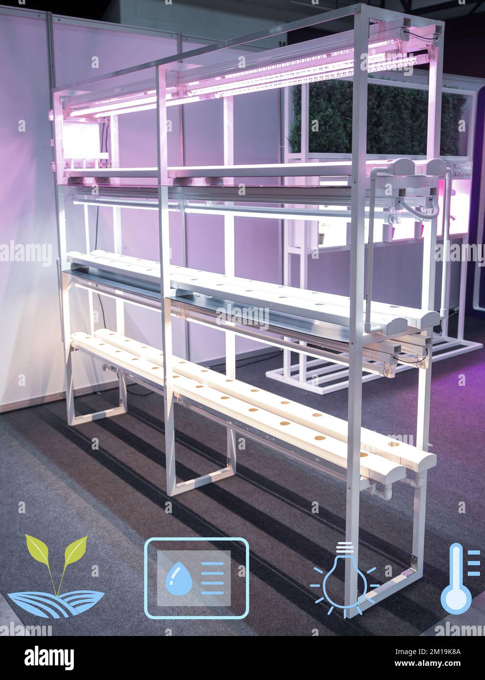 Empty rack vertical agriculture hydroponics system with artificial LED lighting indoor vertical gardening. Hydroponic illustration symbols. Stock Photo