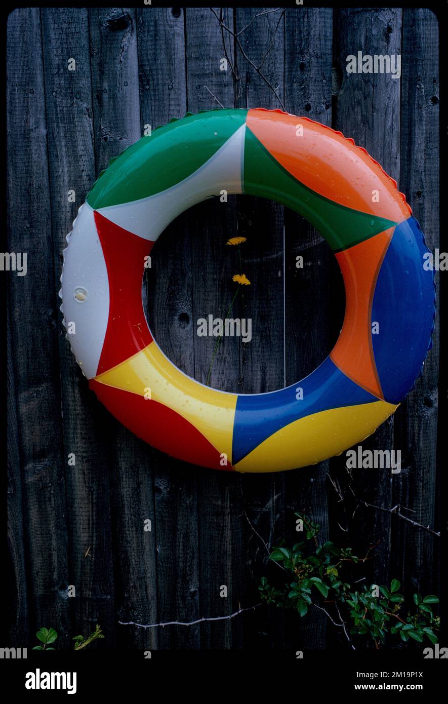 Toy flotation ring hanging on wooden fence , Toys, Floating. Edmund L. Mitchell Collection Stock Photo