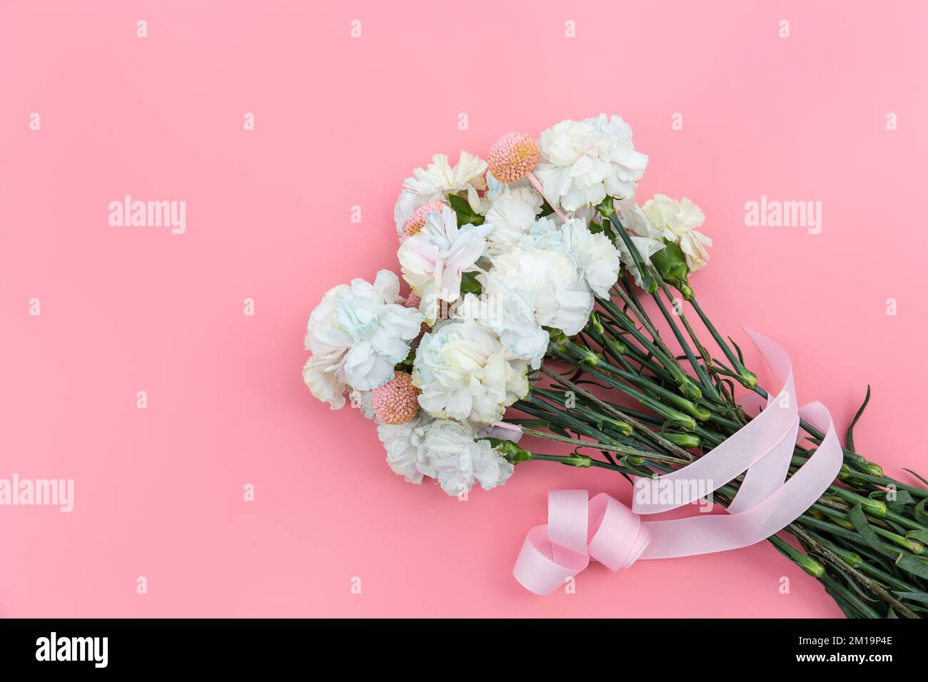 Bouquet of white carnations on a pink background isolated, flat lay ...