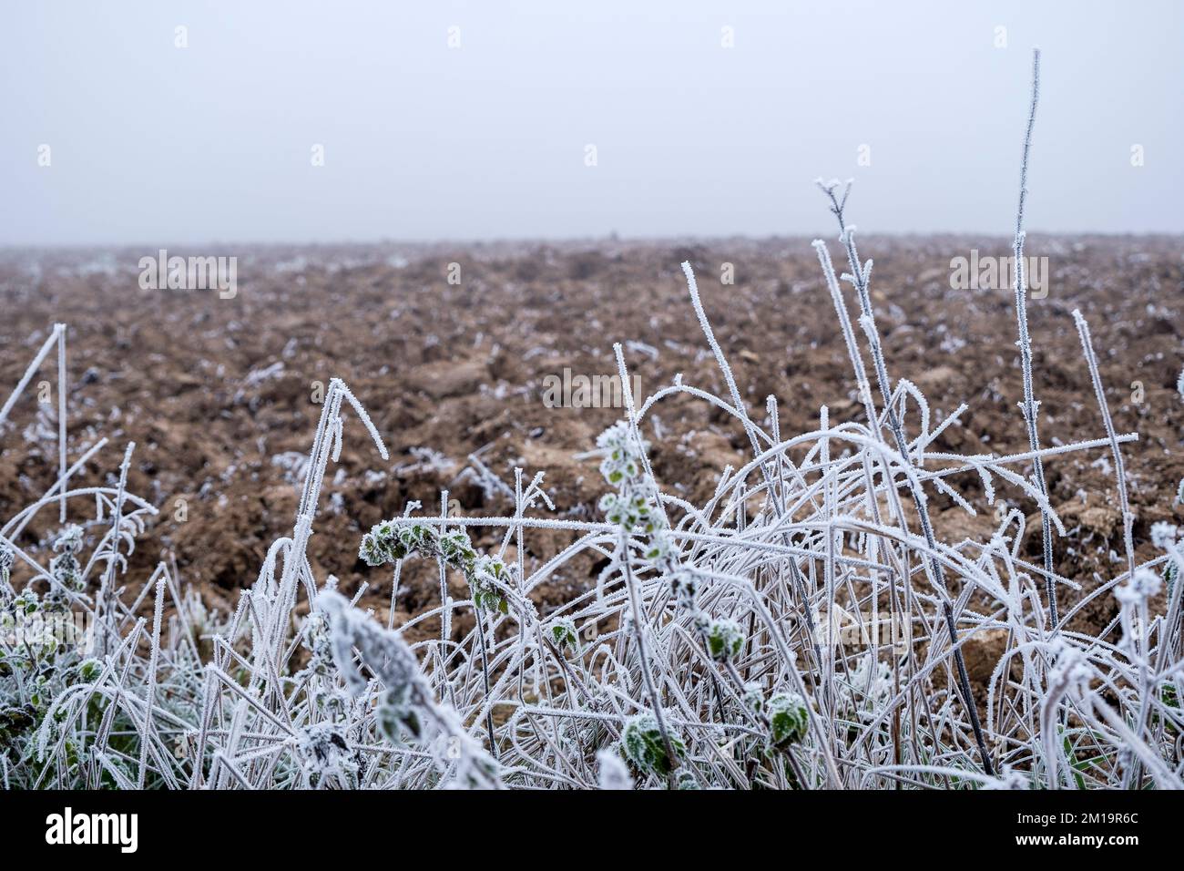 Morning fog on the countryside |  Brouillard matinal sur les campagnes et les routes de campagnes Stock Photo