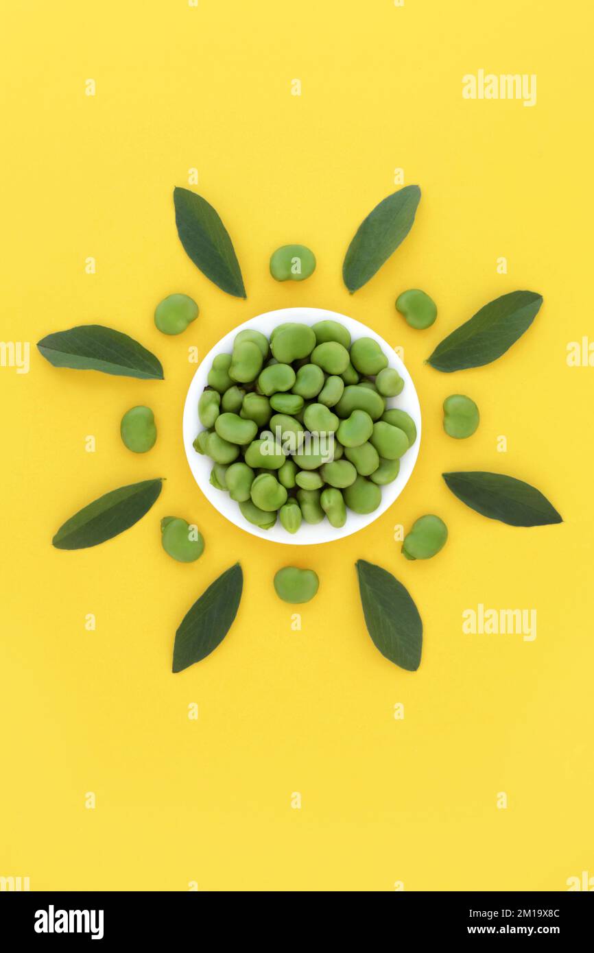 Broad bean vegetable nutritious health food abstract, high in protein