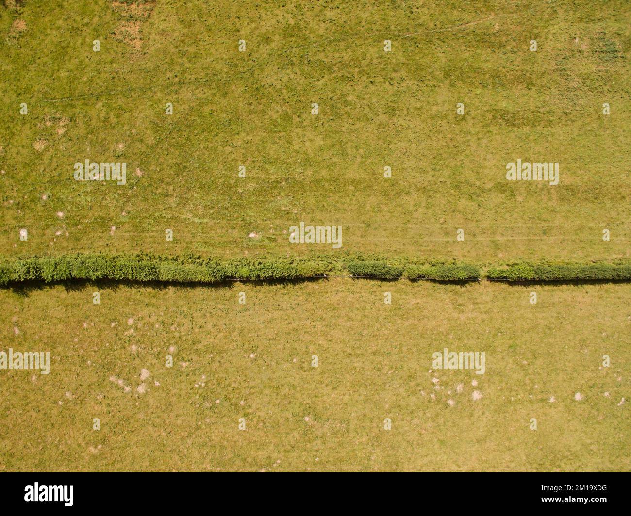 An aerial view of green agricultural fields on a sunny morning Stock ...