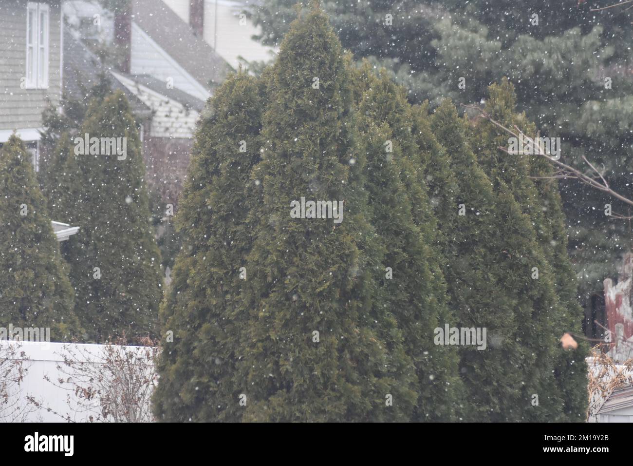 Fair Lawn, United States. 11th Dec, 2022. First snow of the season falls in Fair Lawn, New Jersey on December 11, 2022. (Photo By Kyle Mazza/Sipa USA) Credit: Sipa USA/Alamy Live News Stock Photo