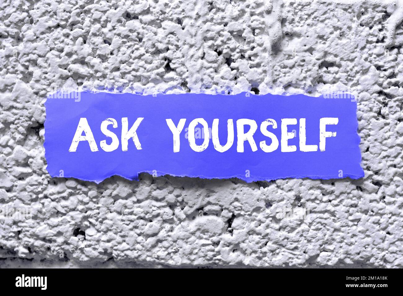 Think Ask Create Conceptual display Ask Yourself. Conceptual photo Thinking the future ...