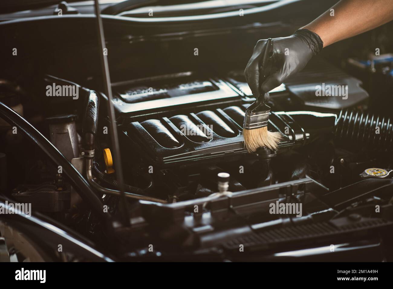 Cleaning the engine bay. Car cleaning and car detailing concept Stock