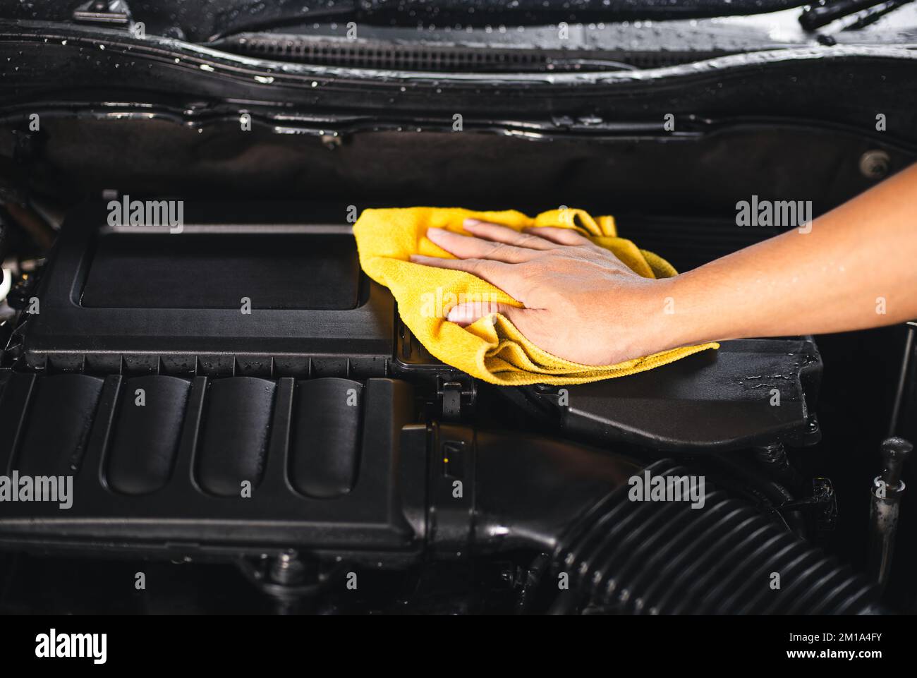 Cleaning the engine bay. Car cleaning and car detailing concept Stock