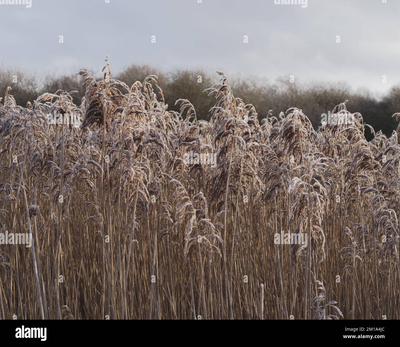 England north east sheet hi-res stock photography and images - Alamy
