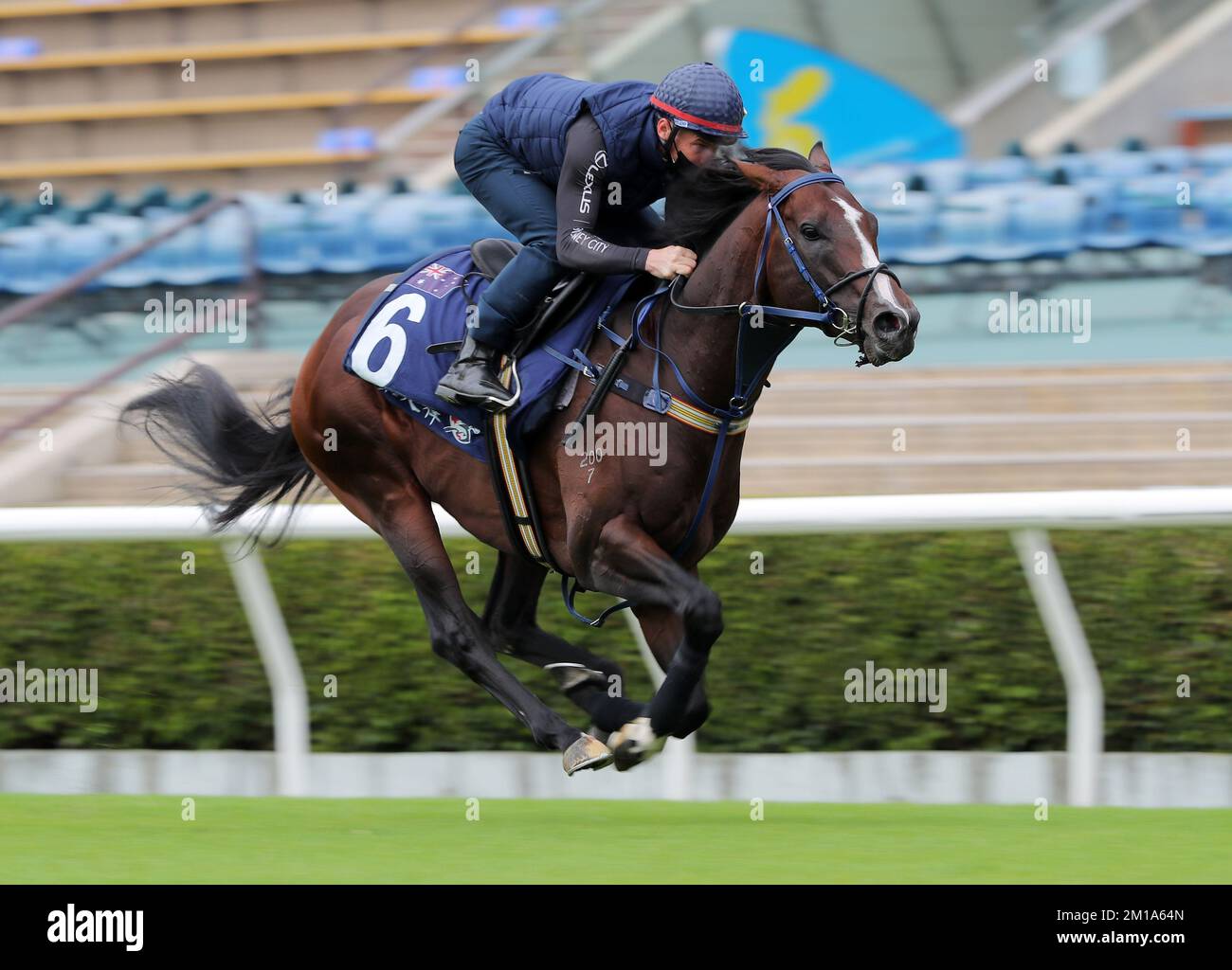 The Hong Kong Mile runner LAWS OF INDICES, ridden by James McDonald
