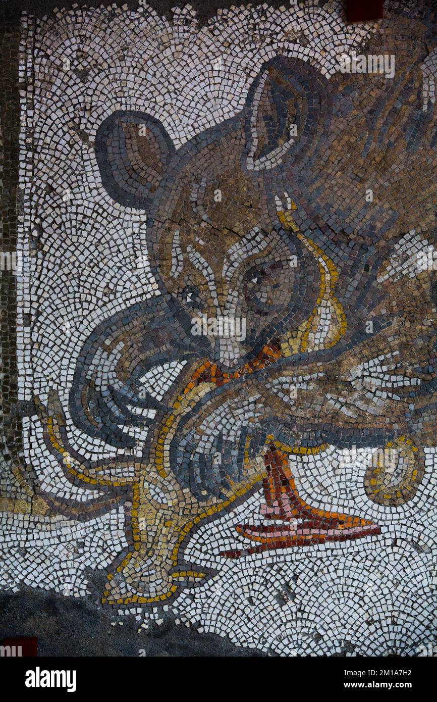 Mosaics, Grand Palace Mosaic Museum, Sultanahmet Square, Istanbul, Turkey Stock Photo