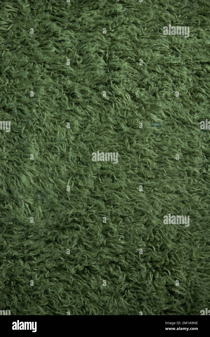 A dark green furry rug or carpet Stock Photo Alamy