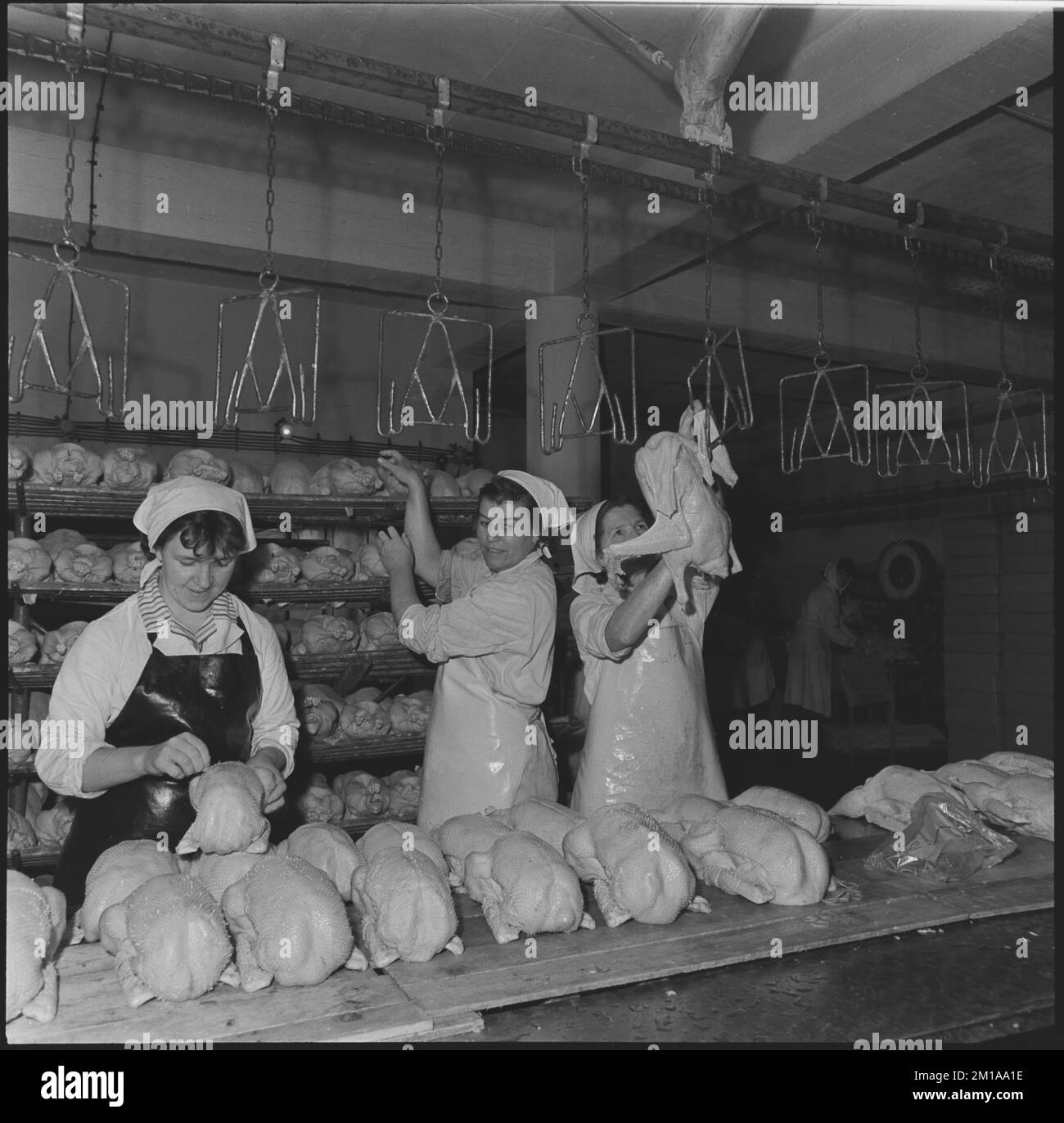 ***NOVEMBER 17, 1965 FILE PHOTO*** The workers of the North Moravian