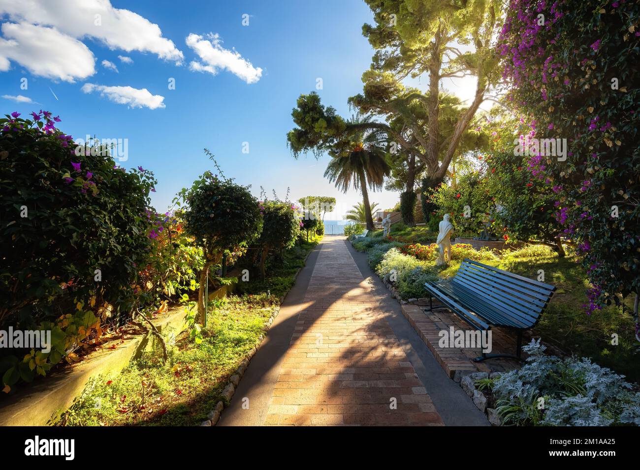 Path in a Garden with trees and flowers. Capri Island, Italy. Stock Photo