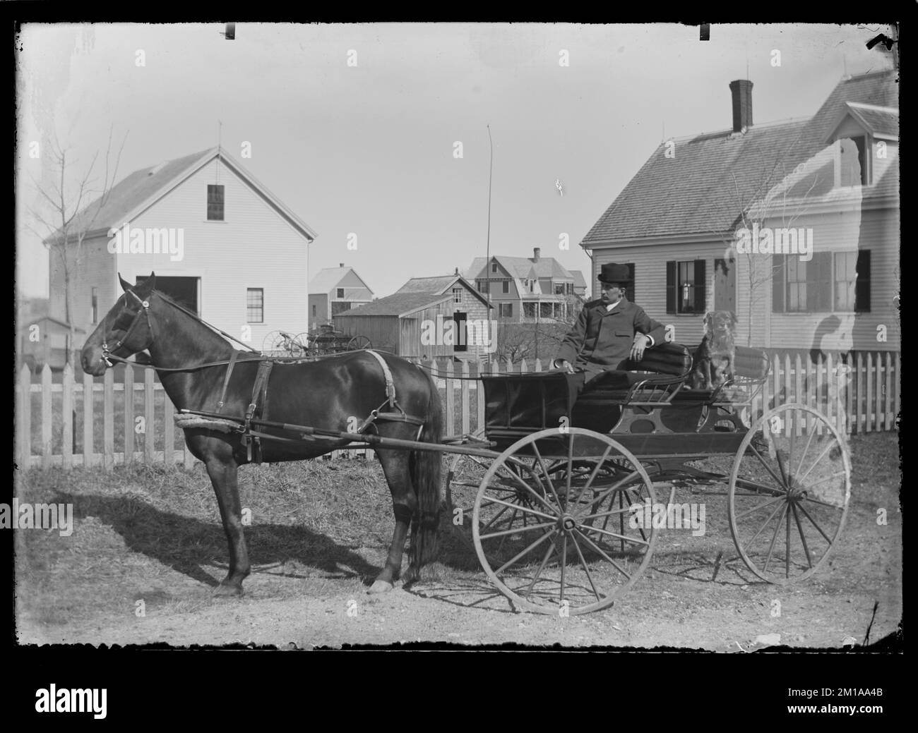 Unidentified man and dog in horse-drawn carriage, Hingham Centre ...