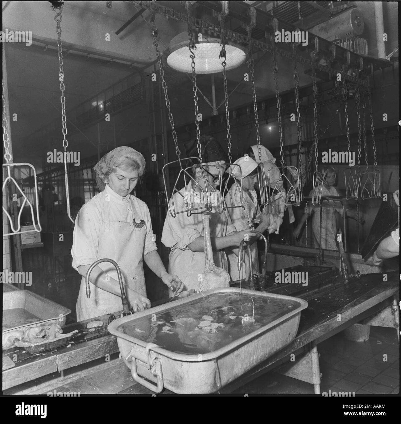 ***NOVEMBER 17, 1965 FILE PHOTO*** The workers of the North Moravian