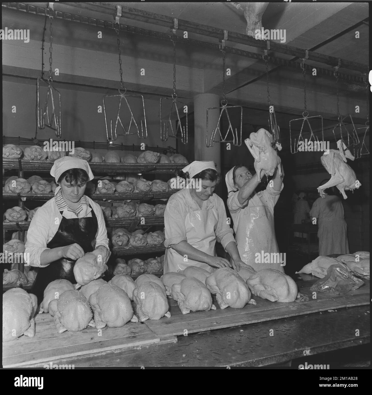 ***NOVEMBER 17, 1965 FILE PHOTO*** The workers of the North Moravian