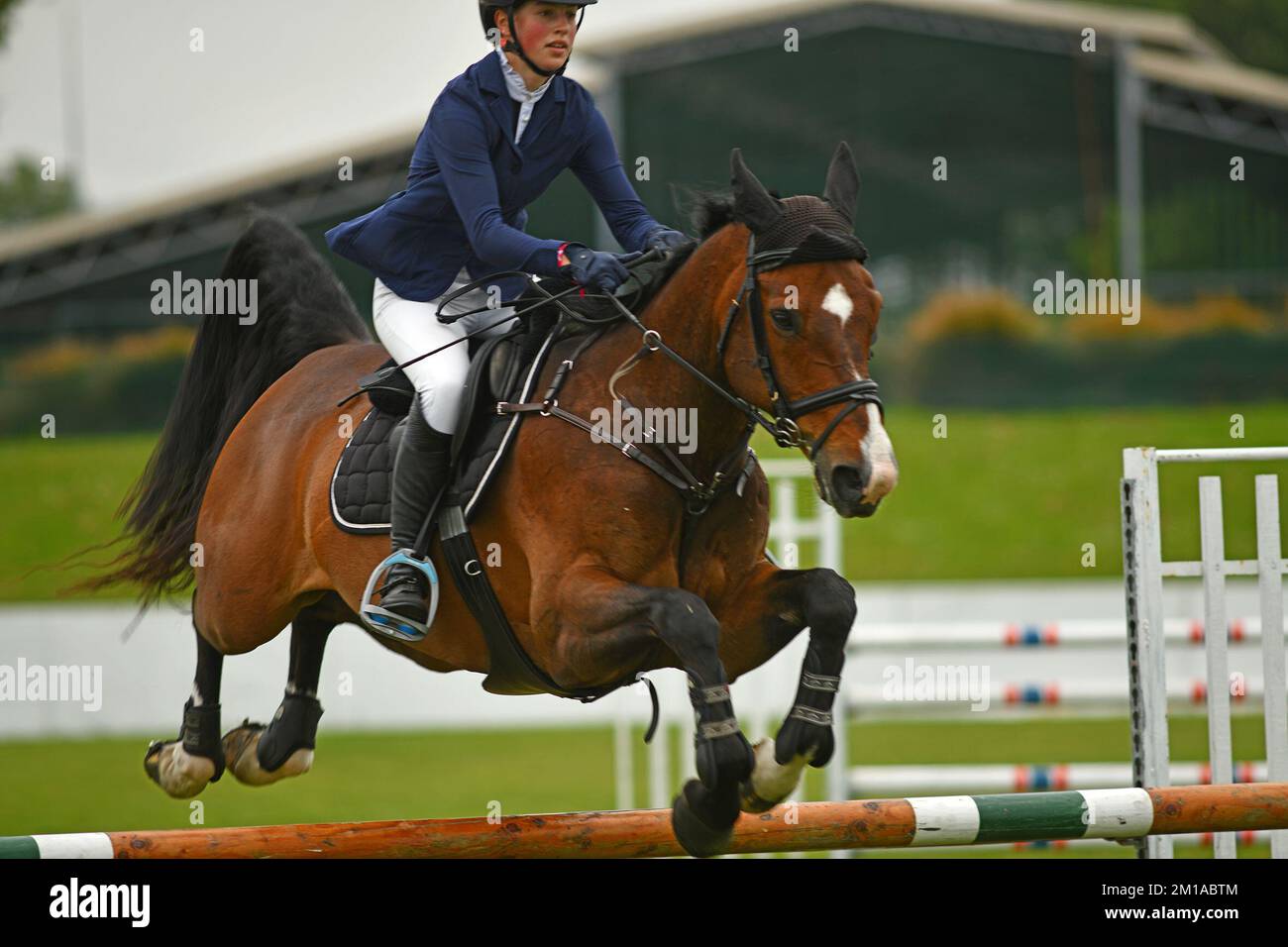 CHRISTCHURCH, NEW ZEALAND, DECEMBER 9, 2022: A show jumping competitor clears the rails at Equifest in Christchurch, New Zealand. Stock Photo