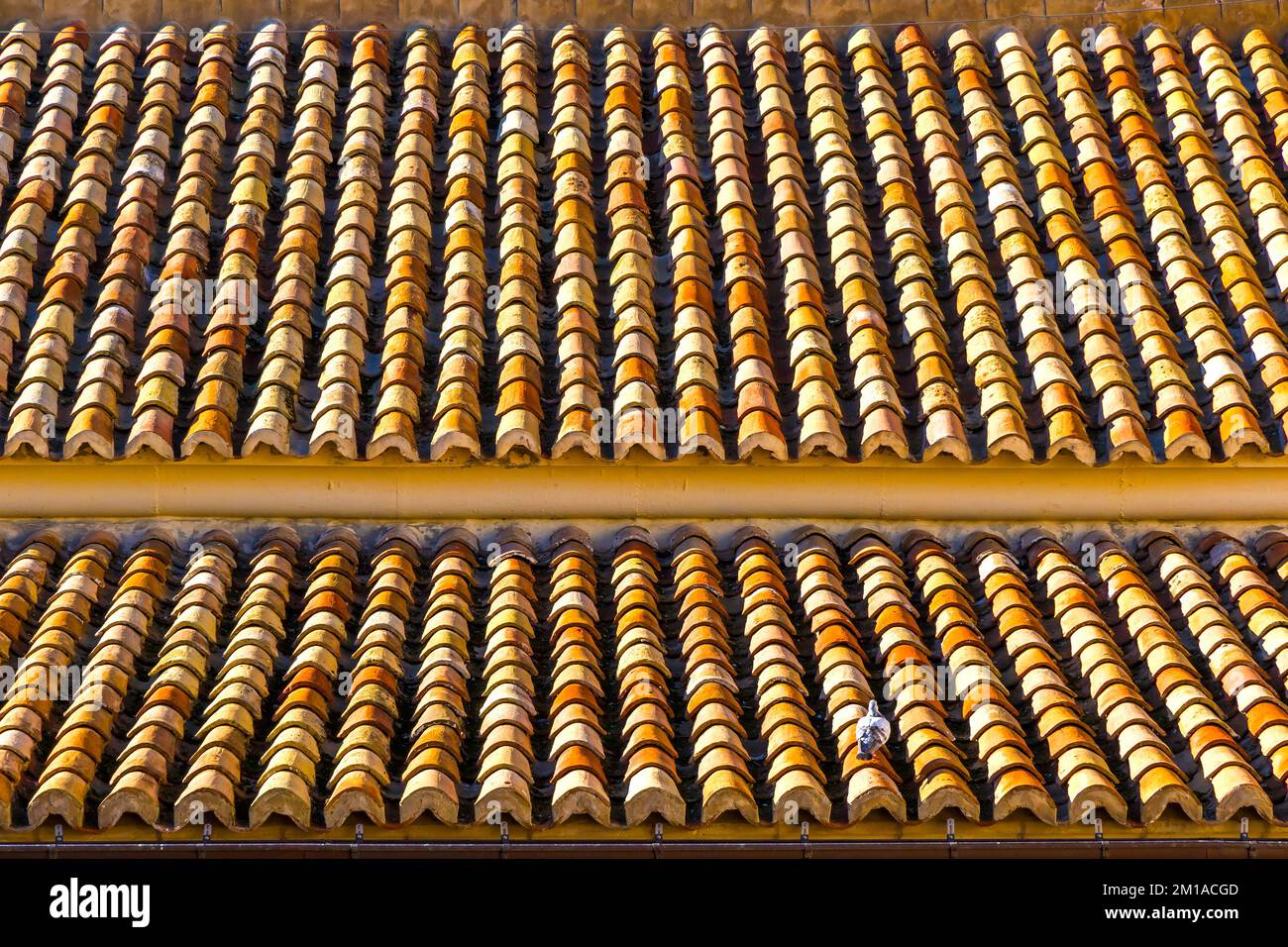 Brown roof tiles of an old spanish style building. Closeup rooftop
