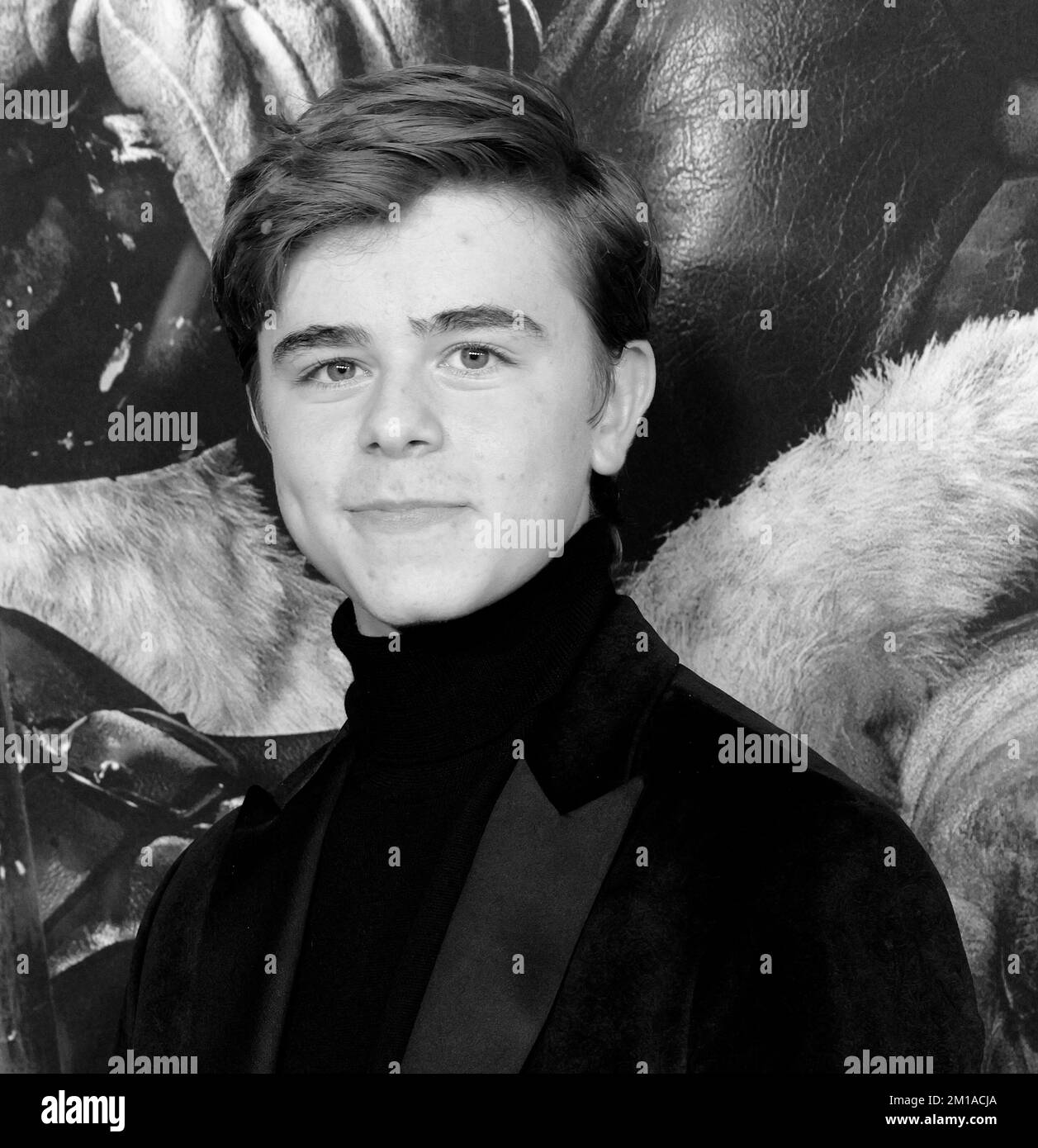 Los Angeles, CA, - Nov 29, 2022: Alexander Elliot arrives at the movie