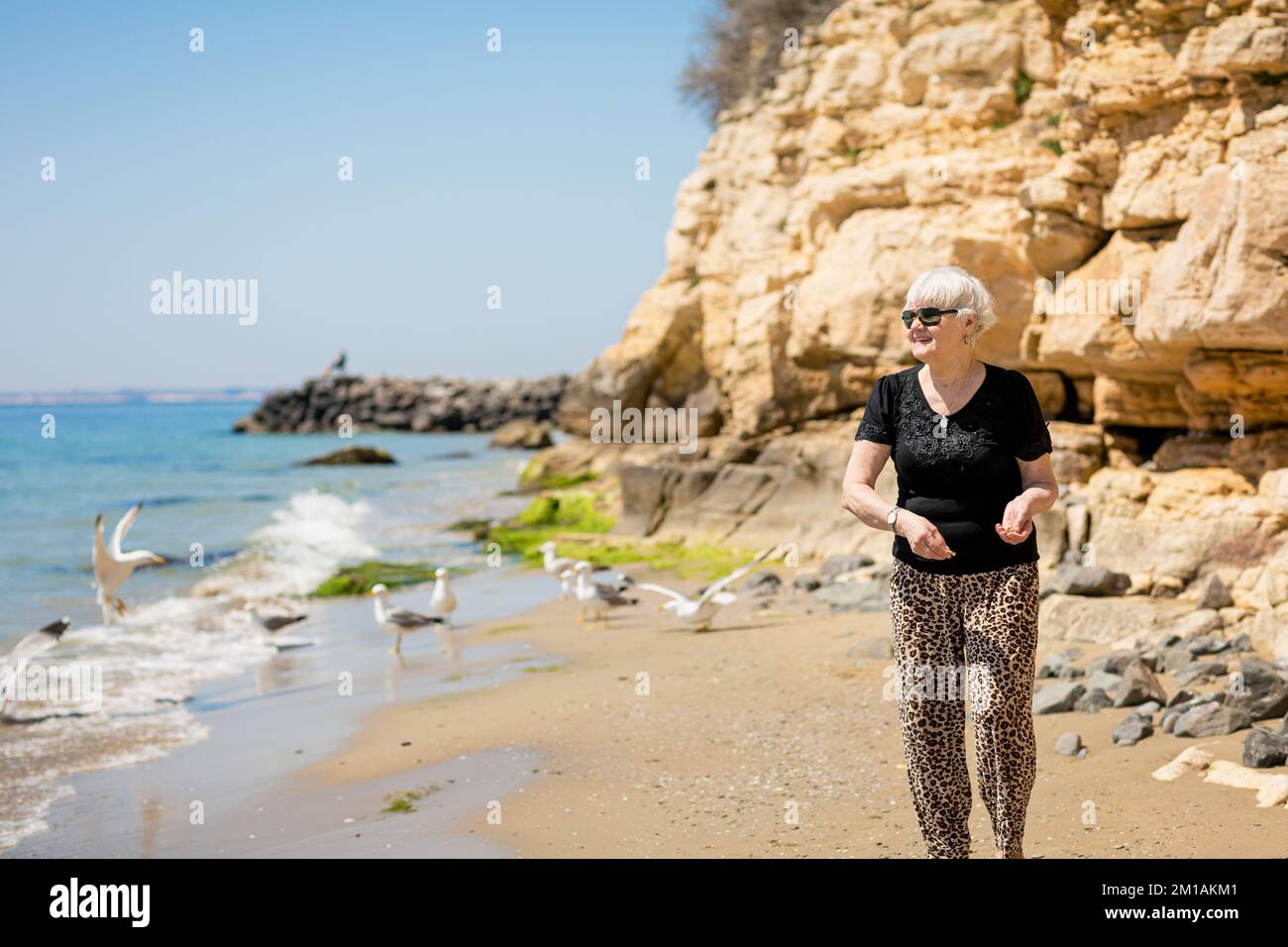 Senior woman in dark sunglasses feeds seagulls on the beach Stock Photo ...