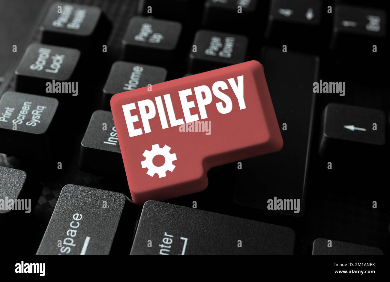 Text Sign Showing Epilepsy Internet Concept Fourth Most Common Text Sign Showing Epilepsy Internet Concept Fourth Most Common
