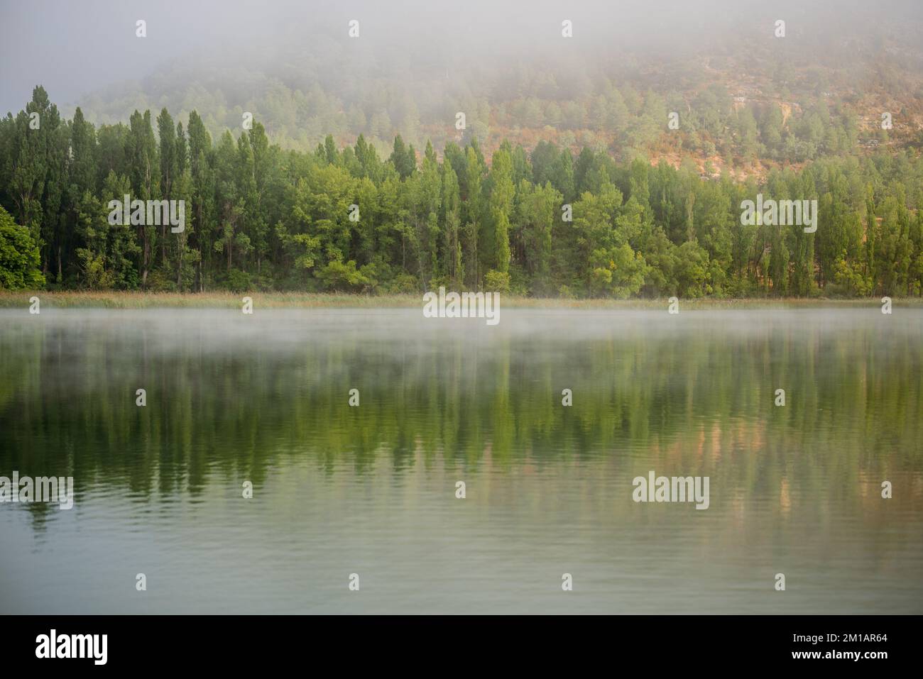 Idyllic landscape about a lake with some fog and surrounded by green ...