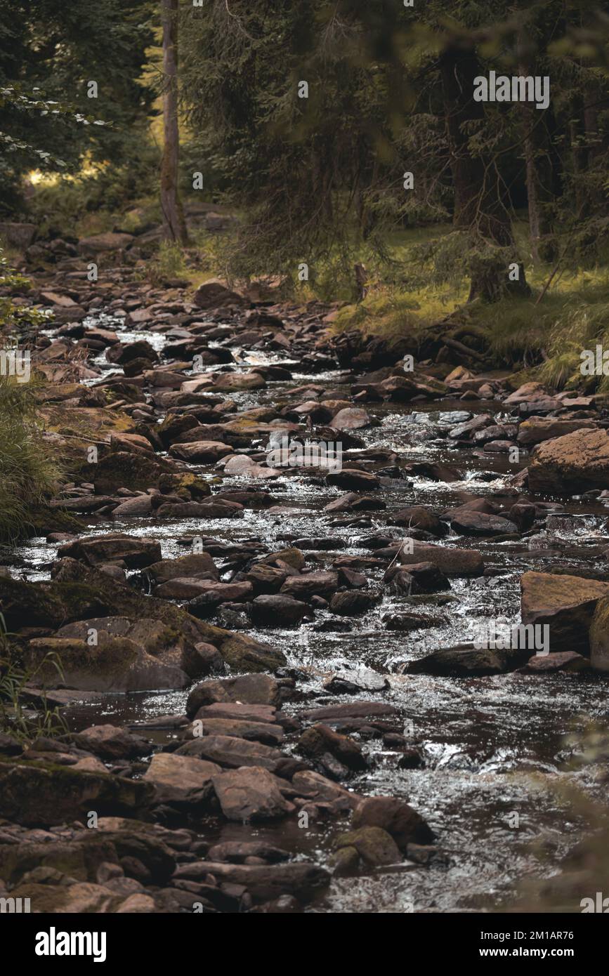 A vertical shot of a rocky surface and a water stream flowing among green trees Stock Photo