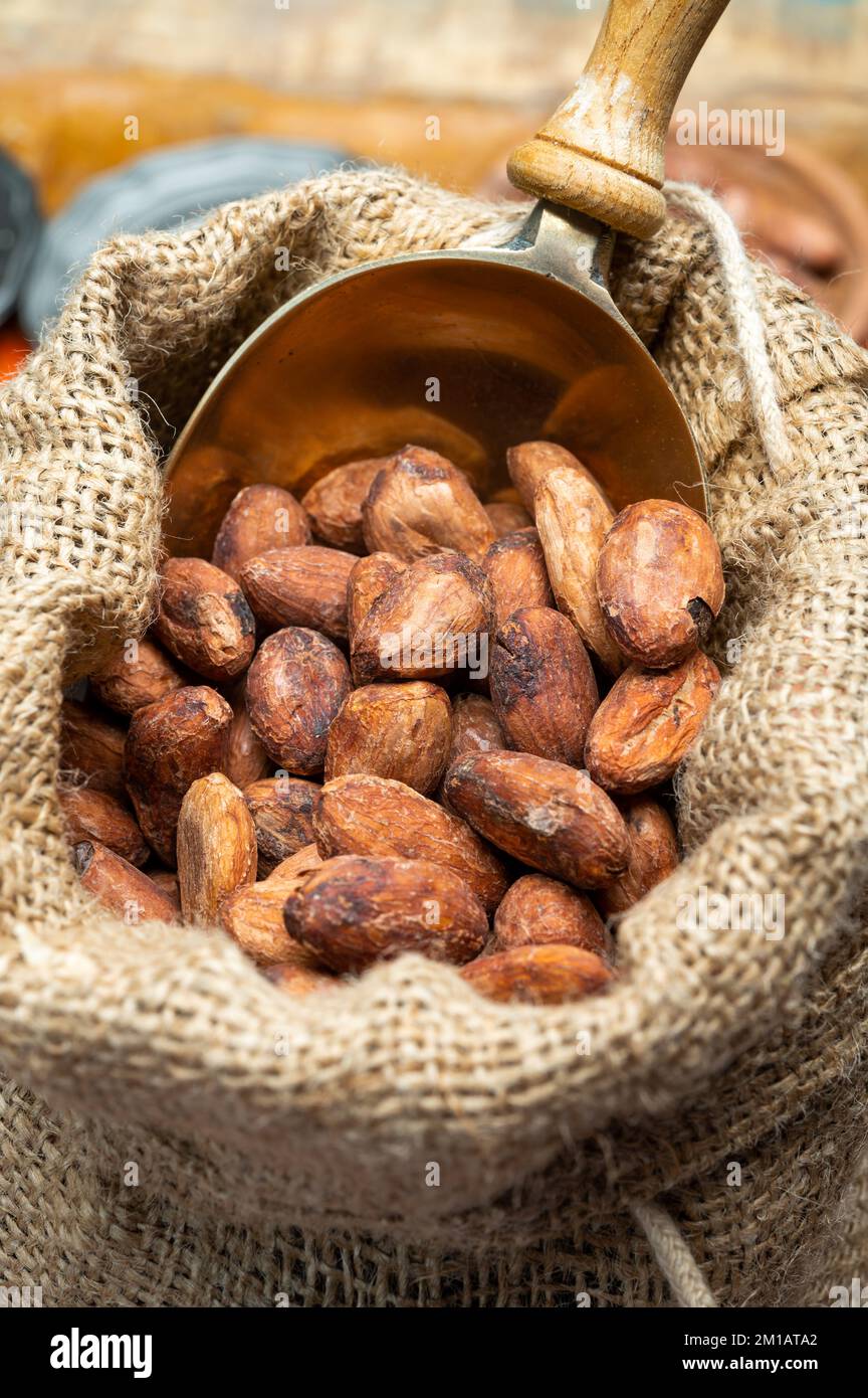 Cocoa or cacao beans, used in hot chocolate drink, chocolate, butter