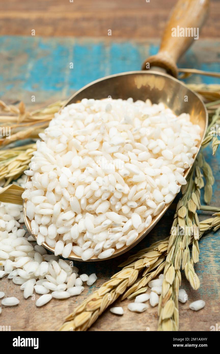 White italian arborio rice used for making risotto dish close up Stock