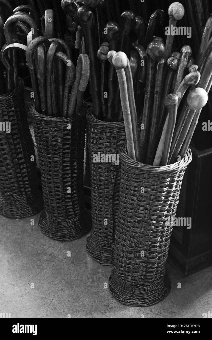 Walking canes at The James Smith & Son umbrella shop on New Oxford Street Stock Photo