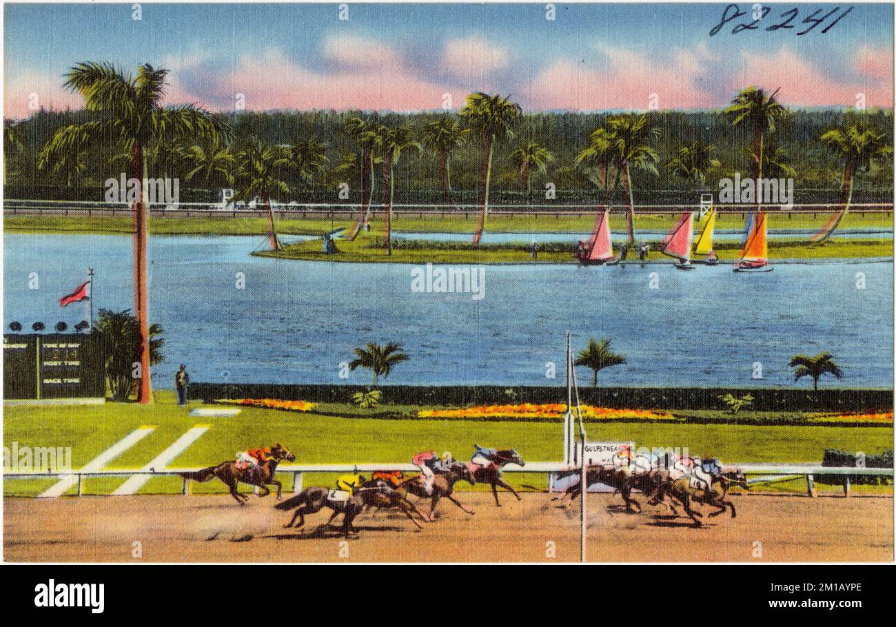 View of Gulfstream Park, Hallandale, Florida , Sports & recreation facilities, Tichnor Brothers Collection, postcards of the United States Stock Photo