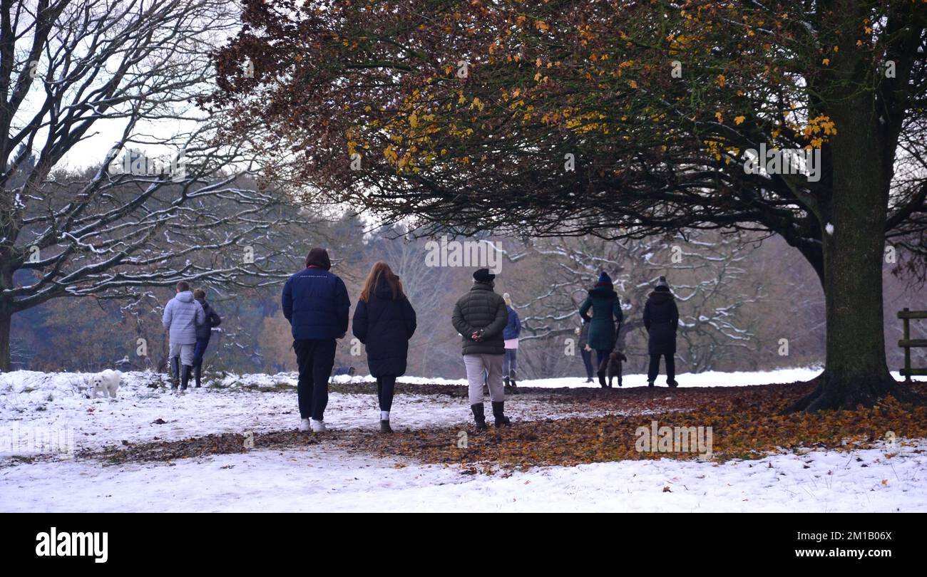 Weather alert hires stock photography and images Alamy