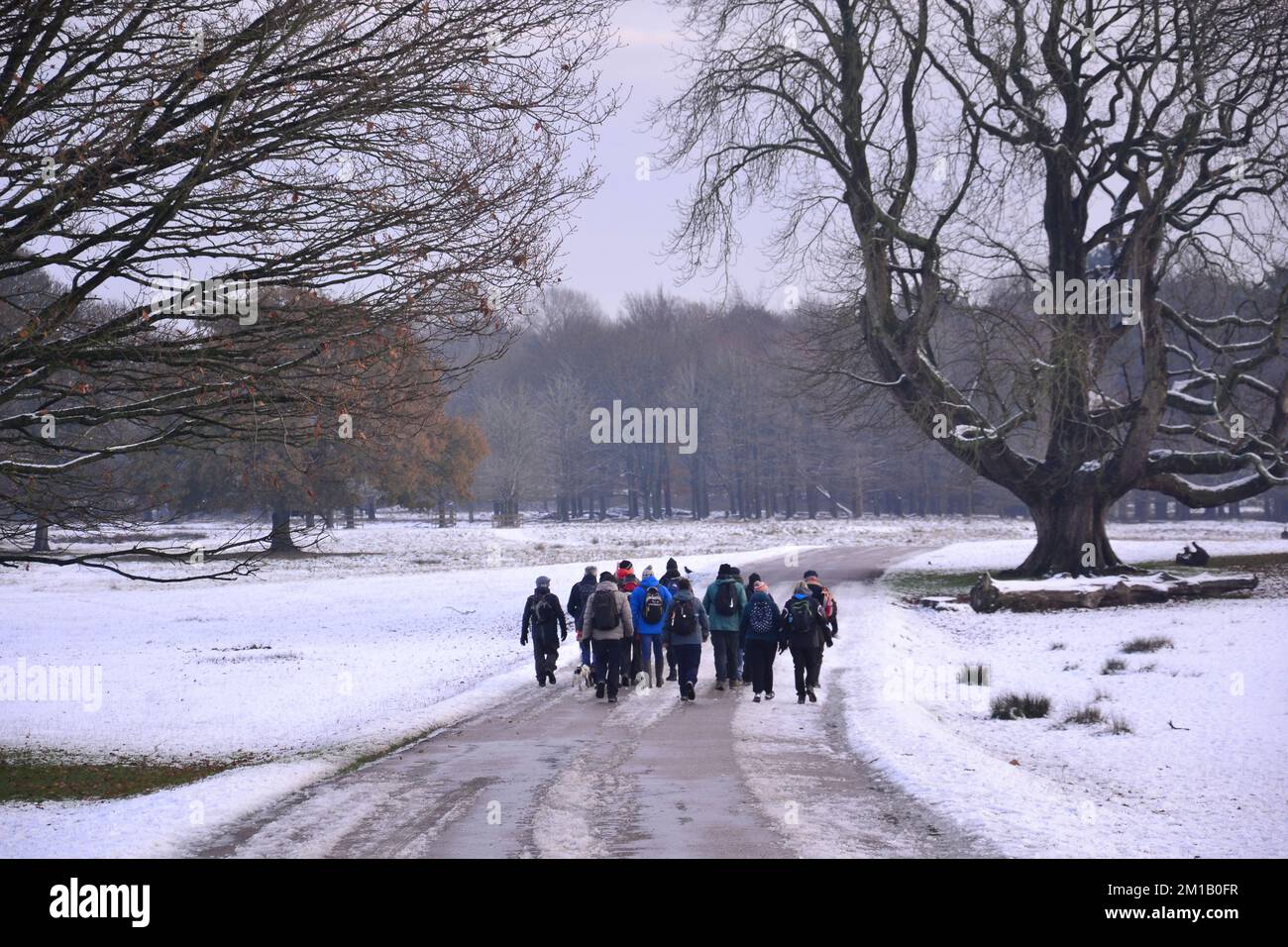Effects of temperature hires stock photography and images Alamy