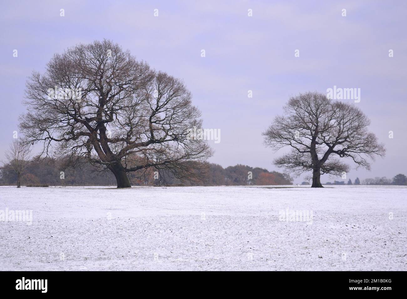 Weather alert hires stock photography and images Alamy