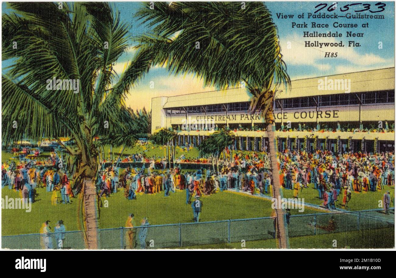 View of Paddock-Gulfstream Park Race Course at Hallendale near Hollywood, Fla. , Sports & recreation facilities, Tichnor Brothers Collection, postcards of the United States Stock Photo