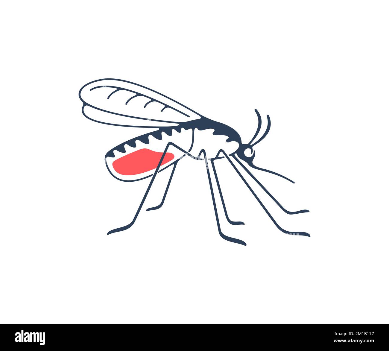 Mosquito, insects, animals, nature and medicine, graphic design. Gnat, insect bloodsucking, pest infectious parasitic spreading, malaria and disease Stock Vector
